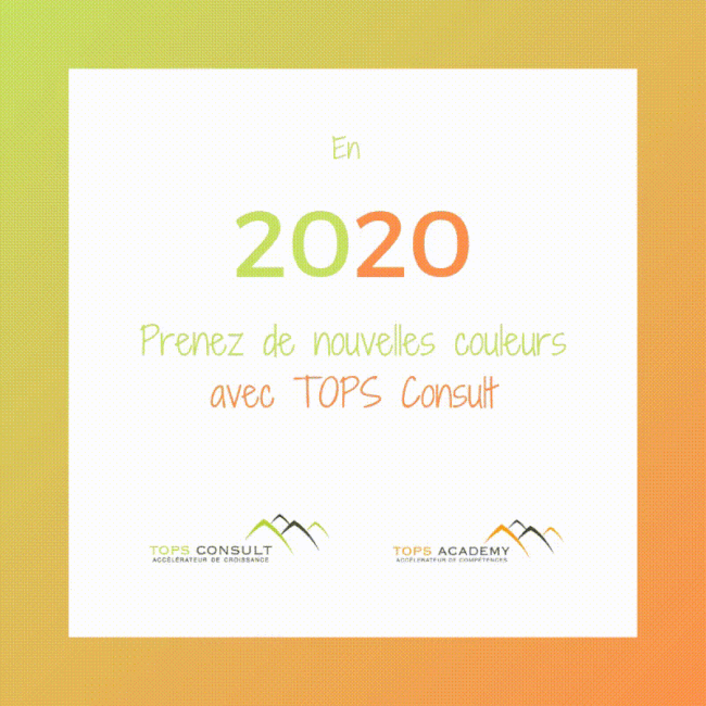 voeux_topsconsult_2020