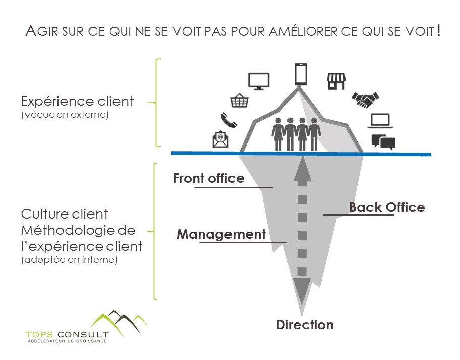 iceberg_experienceclient_topsconsult