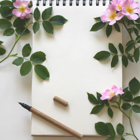 Stratégie Digitale Viquel