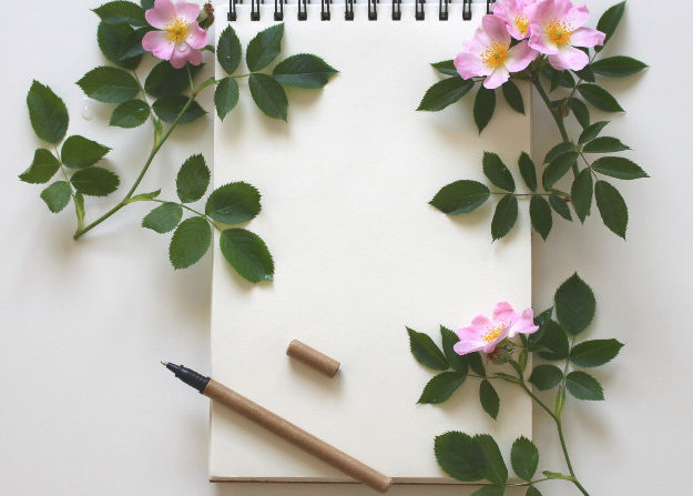 Stratégie Digitale Viquel