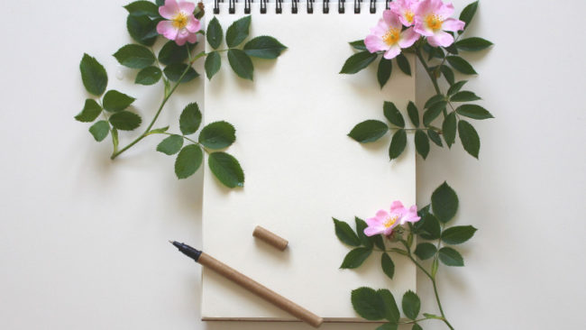 Stratégie Digitale Viquel