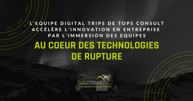 TOPS Consult Digital Trips